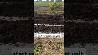 vermicompost unit vermicompost farming vermicelli vermicomposting vermicompostbusiness [upl. by Enyt359]