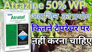 atrazine 50 WP ॥ atrazine  atrataf herbicide  atrazine 50 wp herbicide [upl. by Nylacaj]