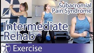 Subacromial Pain Syndrome SAPS  Intermediate Subacute Phase Rehab [upl. by Neelram]