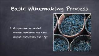 Basics of Winemaking [upl. by Aisanat]