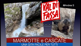 CANAZEI CASCATE E MARMOTTE [upl. by Abran]