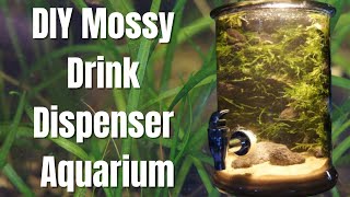 Mossy Drink Dispenser Aquarium [upl. by Einnod]