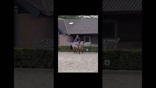 𝐒𝐡𝐢𝐧𝐞 𝐛𝐫𝐢𝐠𝐭𝐡 𝐥𝐢𝐤𝐞 𝐚 𝒹𝒾𝓂ℴ𝓃𝒹 PaardenpraatTV paardenpraattvvhorse [upl. by Aicilyhp698]