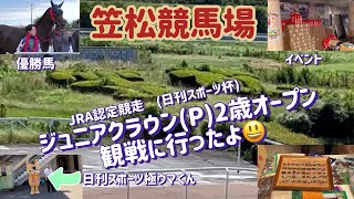 競馬・馬主笠松競馬 ジュニアクラウンを観戦に行ったよ JRA認定日刊スポーツ杯 極ウマくんもいたよ [upl. by Latham15]