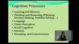 Cognition and Cognitive Processes CP [upl. by Tirb]