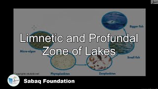 Limnetic and Profundal zone of lakes Biology Lecture  Sabaqpk [upl. by Nylarat]