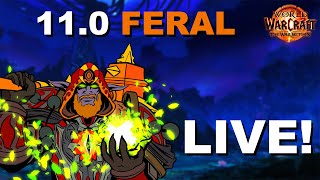 VOD Feral Druid PvP Arena Skirmishes World of Warcraft The War Within [upl. by Ambros11]