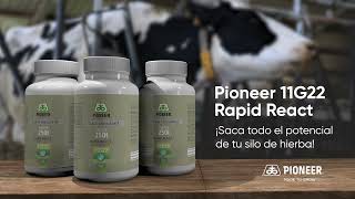 Inoculante 11G22 de Pioneer y ¡supera los químicos [upl. by Bal520]