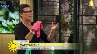 Smutsigt kakel quotTa bara potatismjöl bikarbonat ättika och vattenquot  Nyhetsmorgon TV4 [upl. by Hughes]