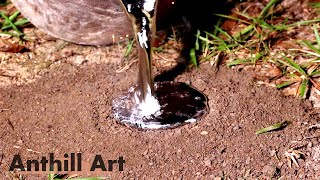 Casting a Carpenter Ant Colony with Molten Aluminum Cast 110 [upl. by Nyer]