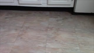 Speed Cleaning  Washing My Floor with NO Mop [upl. by Adnwahs55]