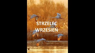 TAROT  STRZELEC  WRZESIEŃ 2024 [upl. by Fox]