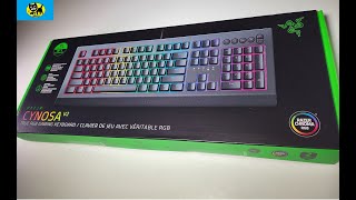 Razer Cynosa Lite Gaming Keyboard Customizable Single Zone Chroma RGB Lighting  SpillResistant [upl. by Rhoads]