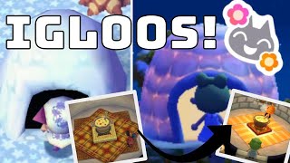 IGLOOS amp ANIMAL CROSSING Everything You Never Asked to Know  Making an IRL Igloo Model [upl. by Olav163]