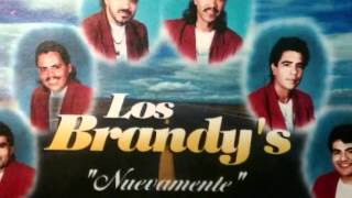 Los Brandys pajarillowmv [upl. by Dnomrej494]