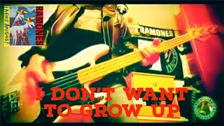 Ramones  I Dont Want to Grow Up  bass cover [upl. by Dnomar237]