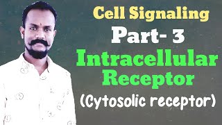 Cell signaling part 3  Intracellular receptor cytosolic receptor by Anand Sao [upl. by Bernita]