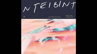 NTEIBINT feat Matina Sous Peau  Back To The Roots Of Love [upl. by Gradeigh]