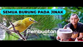 Proses PembuatanAviary MiniSangat Minimalis Dan AlamiSeperti Berasa Di Hutan [upl. by Boynton]