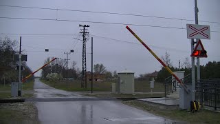 Spoorwegovergang Hajdukovo Хајдуково SRB  Railroad crossing  Железнички прелаз [upl. by Rattan822]