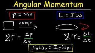 Angular Momentum  Basic Introduction Torque Inertia Conservation of Angular Momentum [upl. by O'Mahony]