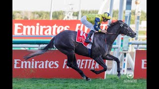 FROST AT DAWN Mickael Barzalona  G3 Nad Al Sheba Turf Sprint [upl. by Horowitz]