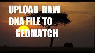 How to Upload AncestryDNA file to Gedmatchcom  DNA program tutorial [upl. by Poulter]