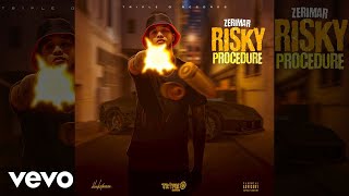 Zerimar  Risky Procedure Official Audio [upl. by Teerprah]