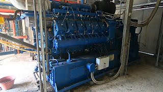 Mais Silage 2024  MWM Gas Engine TCG 3020 V12 Sound [upl. by Nelle]