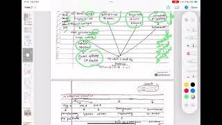 Stomach Full Pathology Robbins And Cotrans [upl. by Esinej]