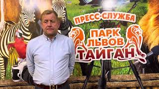 ОГРОМНОЕ ГОРЕ случилось в Парке Львов Тайган Хищники не прощают ошибок Светлая память Лялечка [upl. by Cannon]