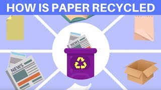 How is Paper Recycled Waste Paper Recycling Process  Recyling for kids  Paper Recycling for kids [upl. by Assirahc]