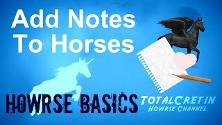 Add Notes To Horses  Howrse Basics [upl. by Harmonie949]