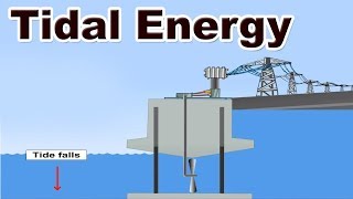 Tidal energy  Class 10  Geography  ICSE Board  Home Revise [upl. by Marcelia]