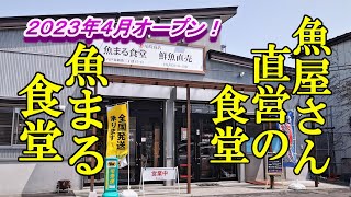 ２０２３年４月オープン、魚屋さん直営の食堂！魚まる食堂【青森県八戸市】 [upl. by Daphene]