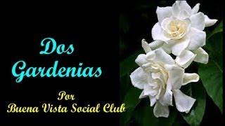 Dos Gardenias Two Gardenias  Buena Vista Social Club Subt en español amp English [upl. by Erolyat]