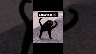 Im Batman 🦇 cat edit meme capcut [upl. by Tfat]