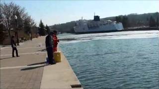 Harbor fishing in Owen Sound Ontario [upl. by Aekan]