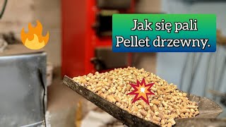 🔥 Jak się pali pellet drzewny premium w kotle górnego spalania Czy warto [upl. by Demha]