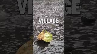 Serene Village Rain Rain Sounds for Sleeping and Relaxation [upl. by Enawyd]