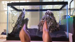 Aquascaping Tutorial  Hardscape and Dragonstone [upl. by Karlotta277]