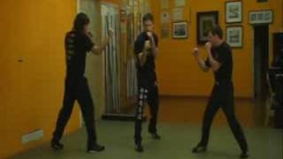 Stance Jun Fan Jeet Kune Do  Posizione [upl. by Yllen47]