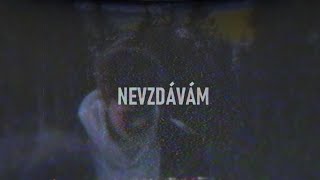 Skelly  Nevzdávám OFFICIAL AUDIO [upl. by Nnylkcaj892]