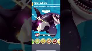 Hungry shark world killer whale new shark unlock Pacific Ocean killer whales sharkdiver hornsharks [upl. by Nomihs330]