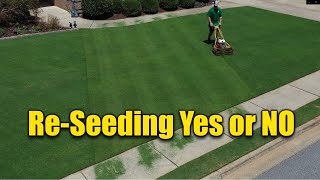 Reseeding Lawns  Does and Donts [upl. by Anelec]