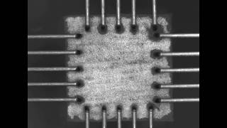 Biaxial Testing by CellScale [upl. by Blunt]