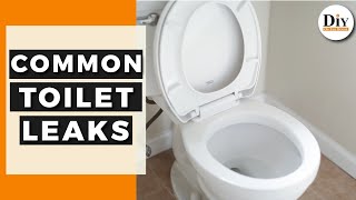 How To Find My Toilet Leak  Common Toilet Leaks  DIY Toilet Repair [upl. by Merriam]