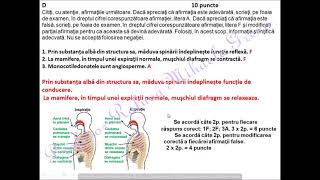 BACALAUREAT BIOLOGIE VEGETALA  test antrenament rezolvat [upl. by Crescin697]