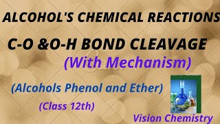 ALCOHOL CHEMICAL REACTIONS  CLEAVAGE OF OH amp CO BONDS  Class12th  Vision Chemistry [upl. by Aehtela]