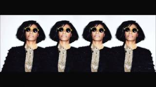 Santigold  Disparate Youth The 2 Bears Remix [upl. by Nyroc]